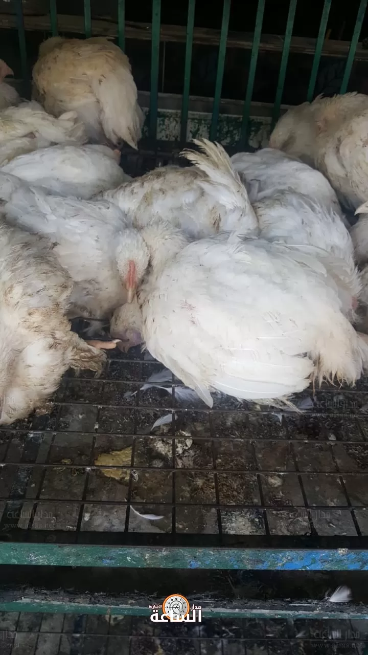 مدار الساعة,أخبار الأردن,اخبار الاردن
