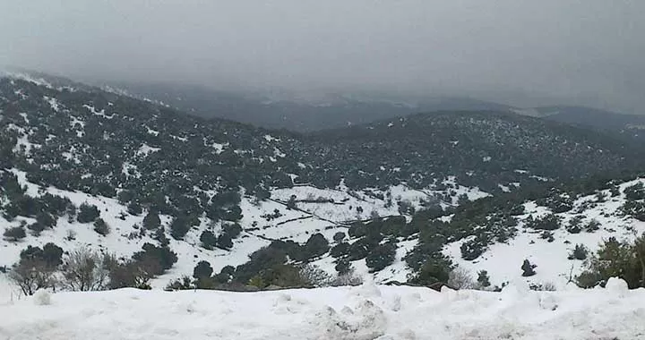 مدار الساعة,أخبار الأردن,اخبار الاردن