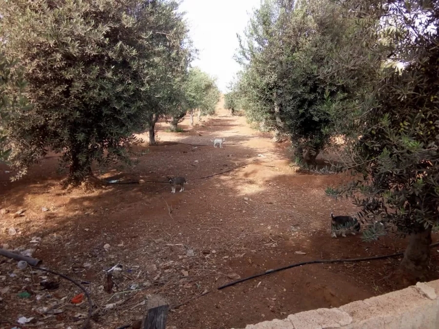 مدار الساعة,أخبار الأردن,اخبار الاردن,وزارة المياه والري,سلطة المياه,وزارة المياه