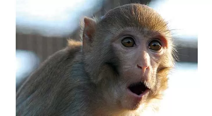 مدار الساعة,أخبار خفيفة ومنوعة