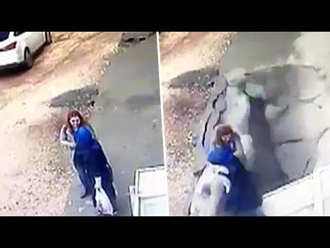 مدار الساعة,Video,فيديو,أخبار خفيفة ومنوعة