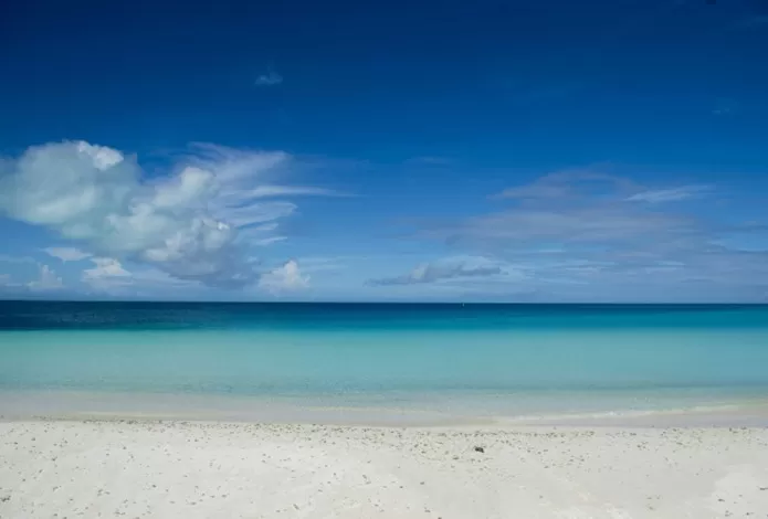 مدار الساعة,أخبار خفيفة ومنوعة