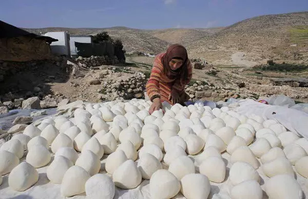 مدار الساعة,أخبار اقتصادية,دائرة ضريبة الدخل والمبيعات,دائرة ضريبة الدخل