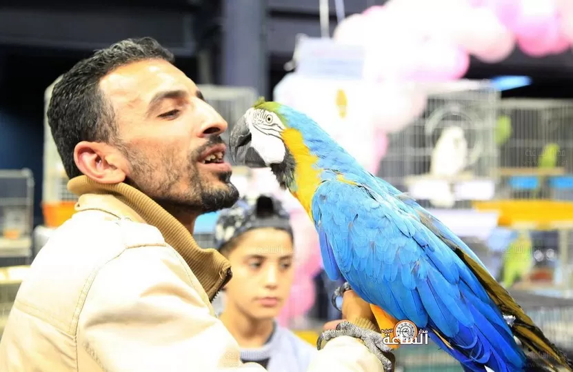 مدار الساعة,أخبار المجتمع الأردني,وزير الزراعة,وزير البيئة,وزارة الزراعة