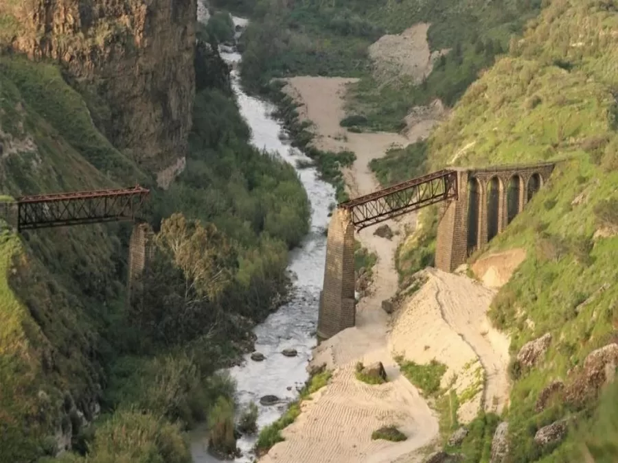 مدار الساعة,أخبار الأردن,اخبار الاردن,الملك عبدالله الثاني