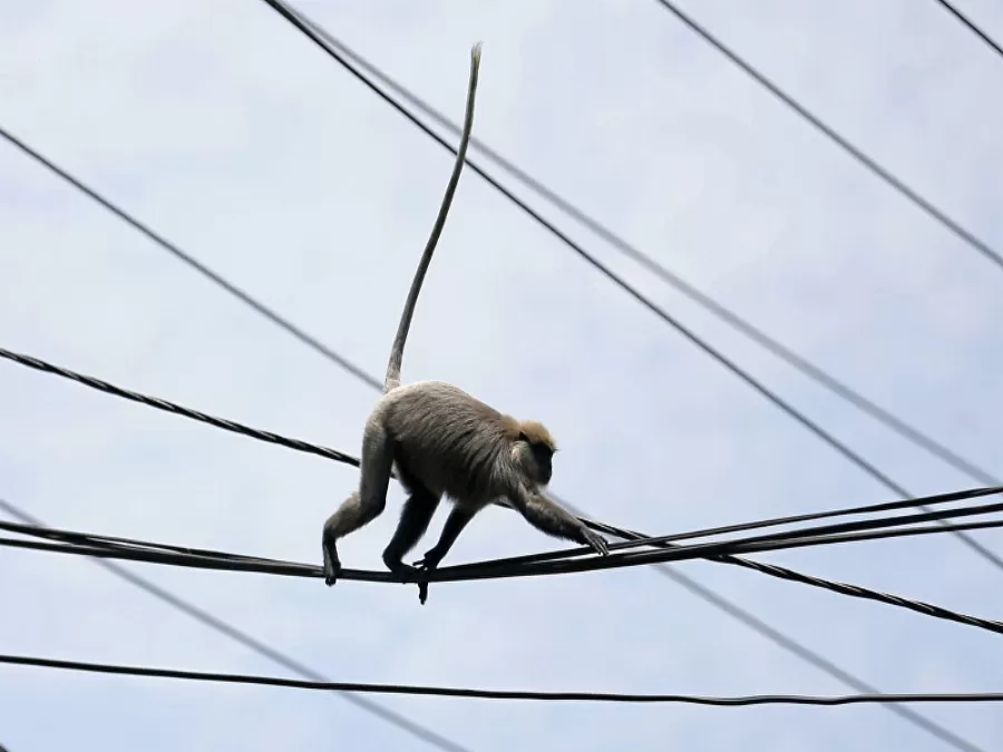 مدار الساعة,أخبار خفيفة ومنوعة