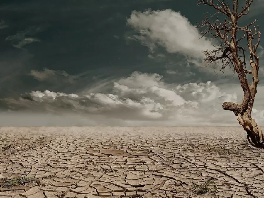 مدار الساعة,أخبار خفيفة ومنوعة