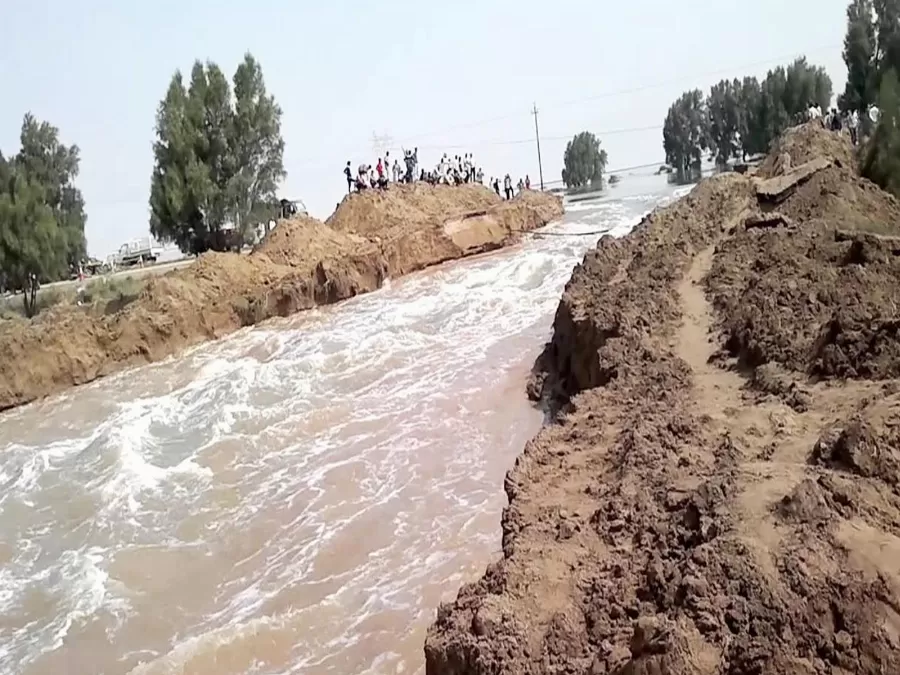 مدار الساعة,أخبار عربية ودولية,وزارة الزراعة