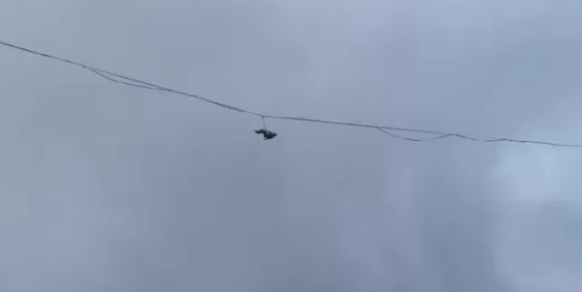 مدار الساعة,Video,فيديو,أخبار خفيفة ومنوعة,مواقع التواصل الاجتماعي