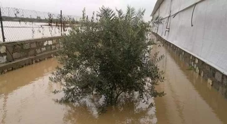 مدار الساعة,أخبار الأردن,اخبار الاردن,الحالة الجوية,وزارة الزراعة