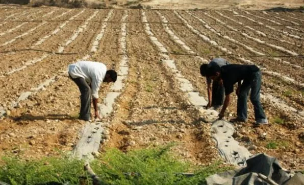 مدار الساعة,أخبار الأردن,اخبار الاردن,مجلس النواب