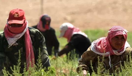 مدار الساعة,أخبار الأردن,اخبار الاردن,الجمعية العلمية الملكية
