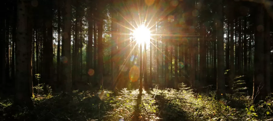مدار الساعة,أخبار خفيفة ومنوعة,درجات الحرارة