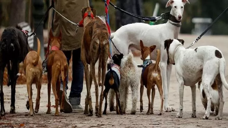 مدار الساعة,أخبار عربية ودولية,وزارة الزراعة,وزارة الصحة