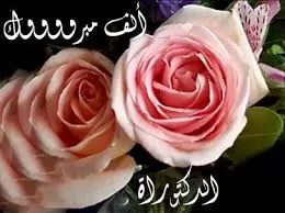 مدار الساعة,أخبار المجتمع الأردني