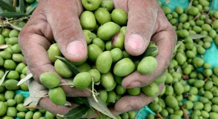 مدار الساعة,أخبار الأردن,اخبار الاردن,وزارة الزراعة