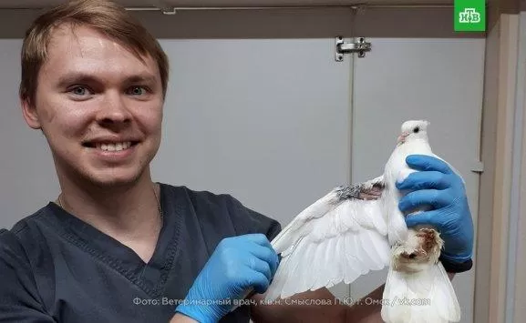 مدار الساعة,أخبار خفيفة ومنوعة