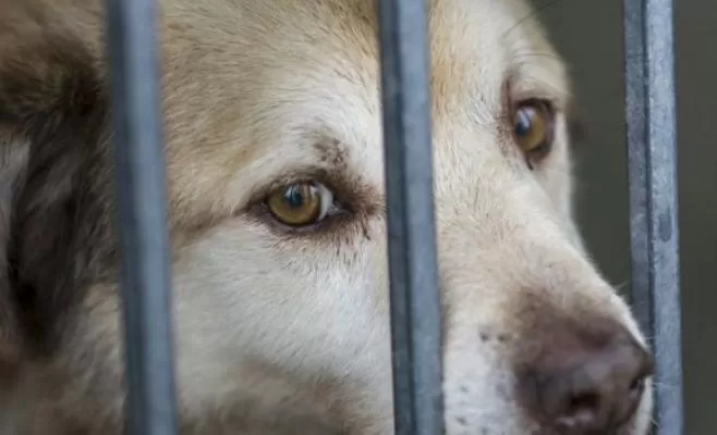 مدار الساعة,أخبار خفيفة ومنوعة,وزارة الزراعة,مواقع التواصل الاجتماعي