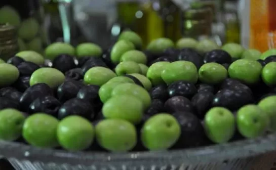 مدار الساعة,أخبار الأردن,اخبار الاردن,المركز الوطني للبحوث الزراعية