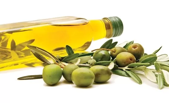 مدار الساعة,أخبار الأردن,اخبار الاردن,المركز الوطني للبحوث الزراعية