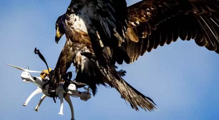 مدار الساعة,Video,فيديو,أخبار خفيفة ومنوعة