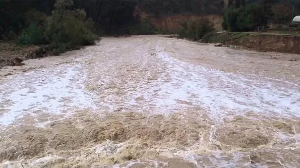 مدار الساعة,أخبار الأردن,اخبار الاردن