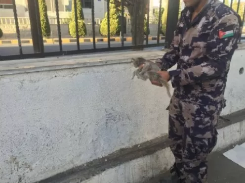 مدار الساعة,أخبار الأردن,اخبار الاردن,الدفاع المدني,وسائل التواصل الاجتماعي