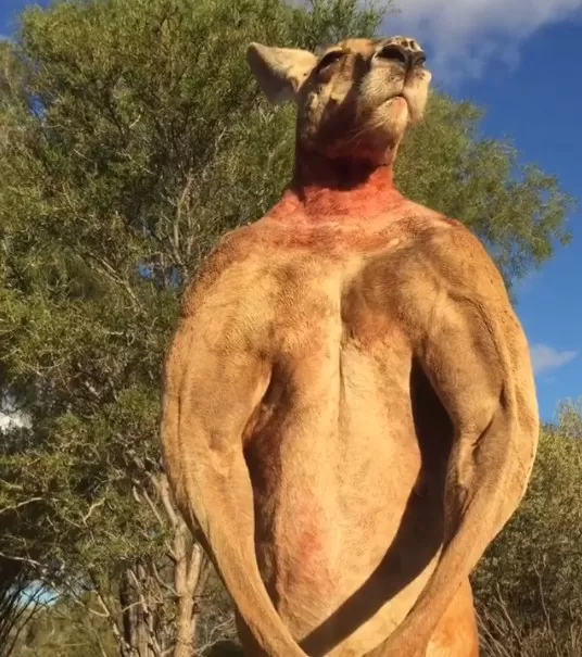 مدار الساعة,أخبار خفيفة ومنوعة