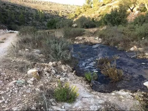 مدار الساعة,أخبار الأردن,اخبار الاردن,وزير الزراعة,وزير البيئة,وزارة البيئة,الإدارة الملكية لحماية البيئة