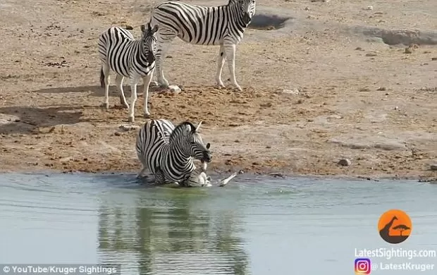 مدار الساعة,أخبار خفيفة ومنوعة