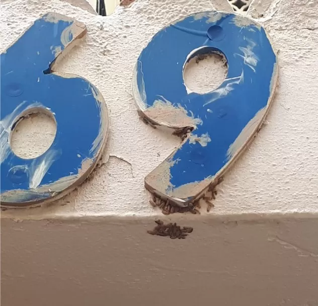 مدار الساعة,أخبار المجتمع الأردني