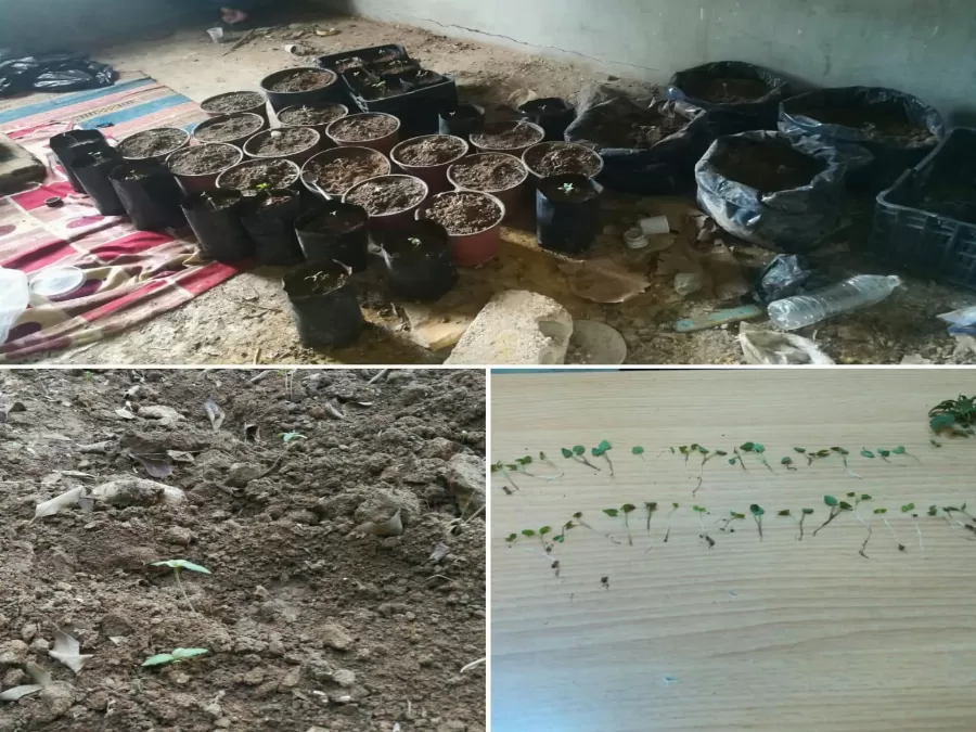 مدار الساعة,Video,فيديو,أخبار الأردن,اخبار الاردن,البحث الجنائي