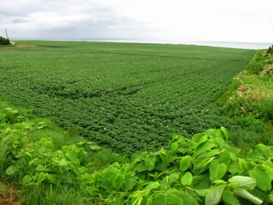 مدار الساعة,أخبار اقتصادية,وزير الزراعة