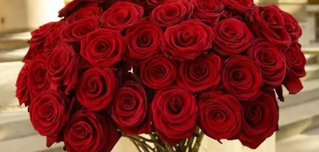 مدار الساعة,أخبار المجتمع الأردني