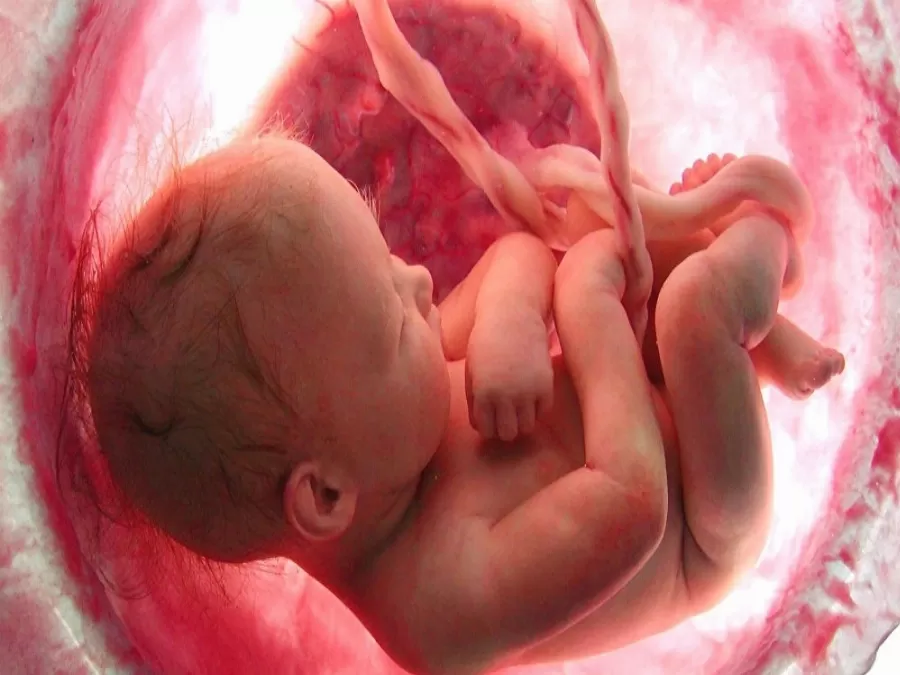 مدار الساعة,Video,فيديو,أخبار خفيفة ومنوعة,وسائل التواصل الاجتماعي