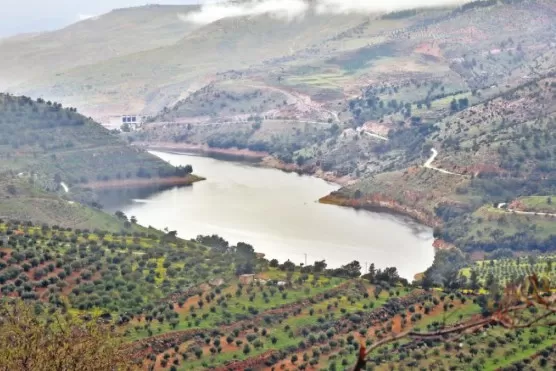 مدار الساعة,أخبار الأردن,اخبار الاردن