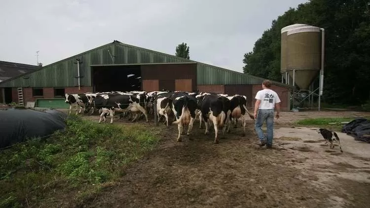 مدار الساعة,أخبار خفيفة ومنوعة,مواقع التواصل الاجتماعي