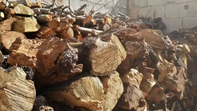 مدار الساعة,أخبار الأردن,اخبار الاردن,وزير الزراعة,مستشفى جرش