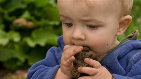 مدار الساعة,مقالات