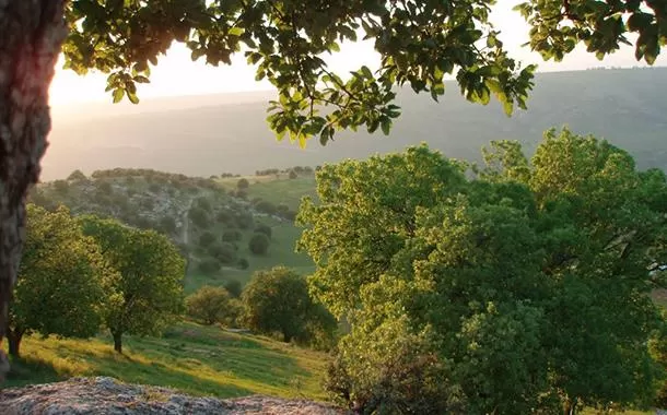 مدار الساعة,الطقس في الأردن اليوم,طقس الأردن,طقس العرب,طقس العرب الاردن,درجات الحرارة,الأرصاد الجوية,البحر الميت