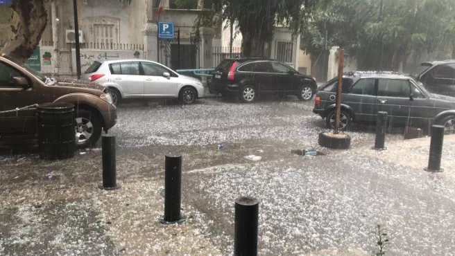 مدار الساعة,أخبار عربية ودولية,وزارة الصحة