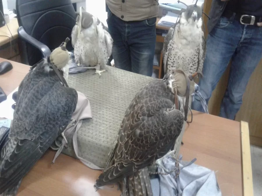 مدار الساعة,أخبار الأردن,اخبار الاردن,الجمارك الأردنية