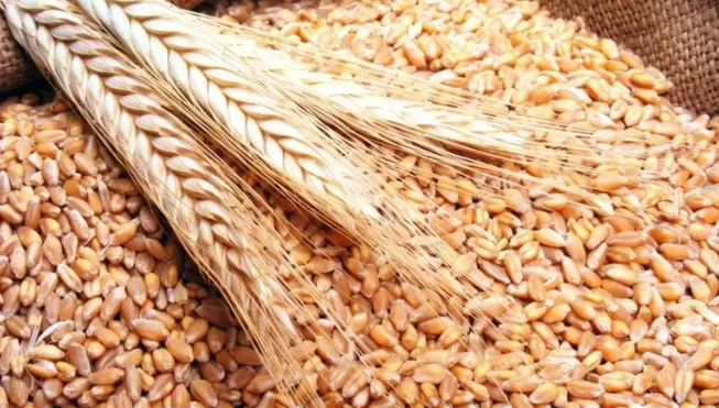 مدار الساعة,أخبار اقتصادية,وزير الصناعة والتجارة والتموين,سلطة منطقة العقبة الاقتصادية الخاصة