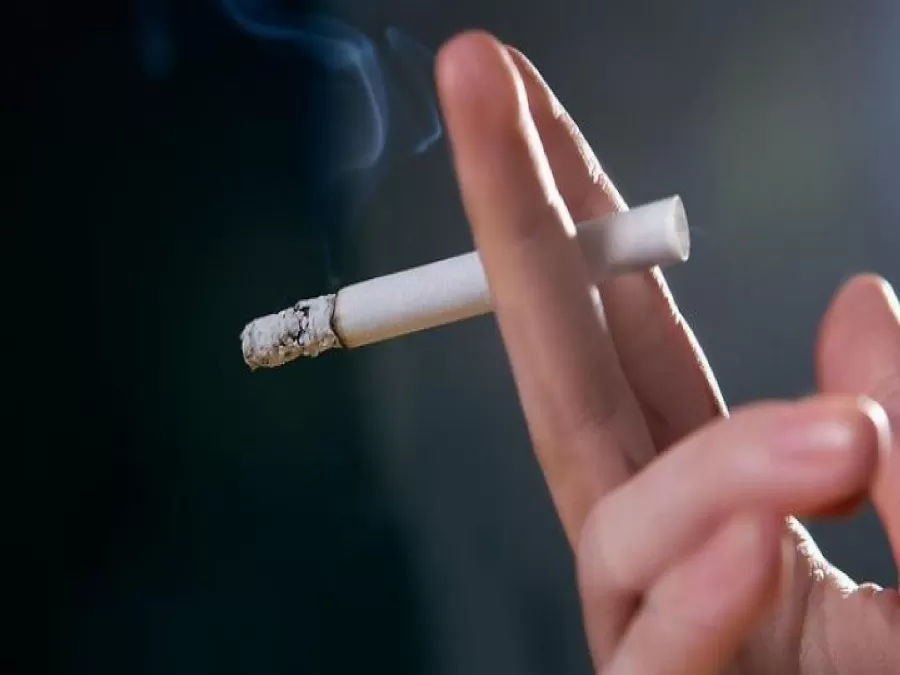 مدار الساعة,أخبار الأردن,اخبار الاردن,وزير الصحة,الأميرة دينا مرعد