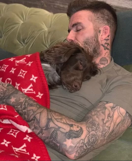 مدار الساعة,أخبار خفيفة ومنوعة