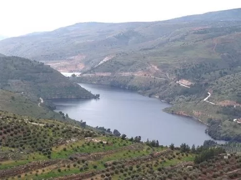 مدار الساعة,أخبار الأردن,اخبار الاردن,وزير المياه والري,رائد ابو السعود