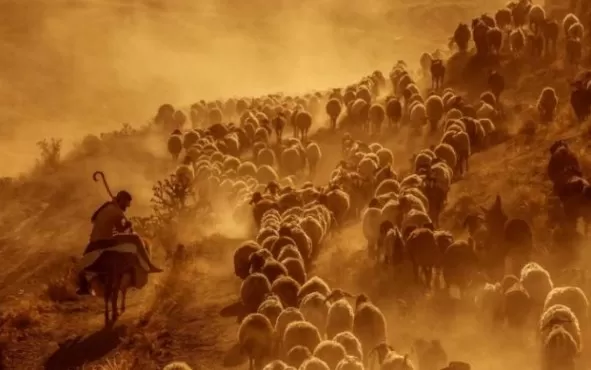 مدار الساعة,أخبار الأردن,اخبار الاردن