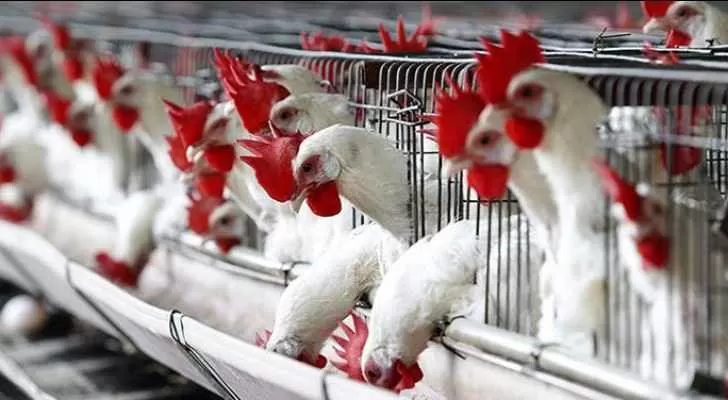 مدار الساعة,أخبار اقتصادية,درجات الحرارة