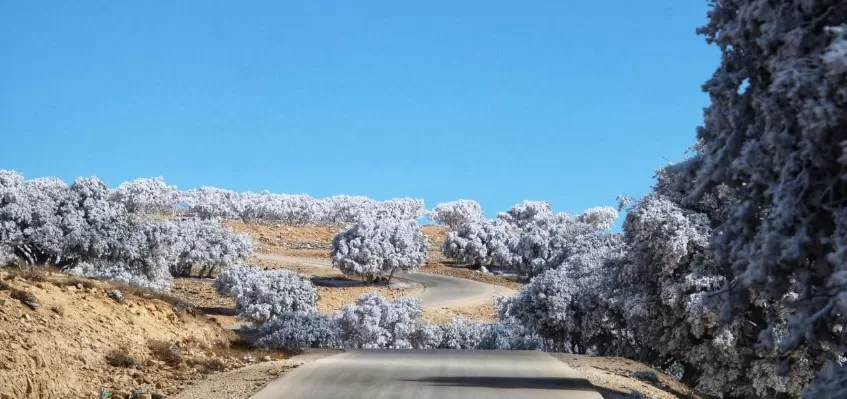 مدار الساعة,أخبار الأردن,اخبار الاردن,درجات الحرارة العظمى والصغرى,درجات الحرارة,البحر الميت