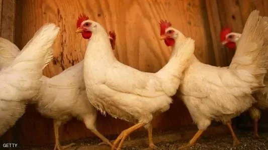 مدار الساعة,أخبار اقتصادية,الضفة الغربية